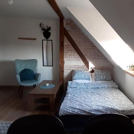 Urocze Studio Z Klimatem W Centrum Legnicy Legnica Eksteriør bilde