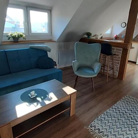 Urocze Studio Z Klimatem W Centrum Legnicy Legnica Eksteriør bilde