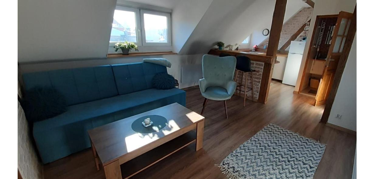 Urocze Studio Z Klimatem W Centrum Legnicy Legnica Eksteriør bilde